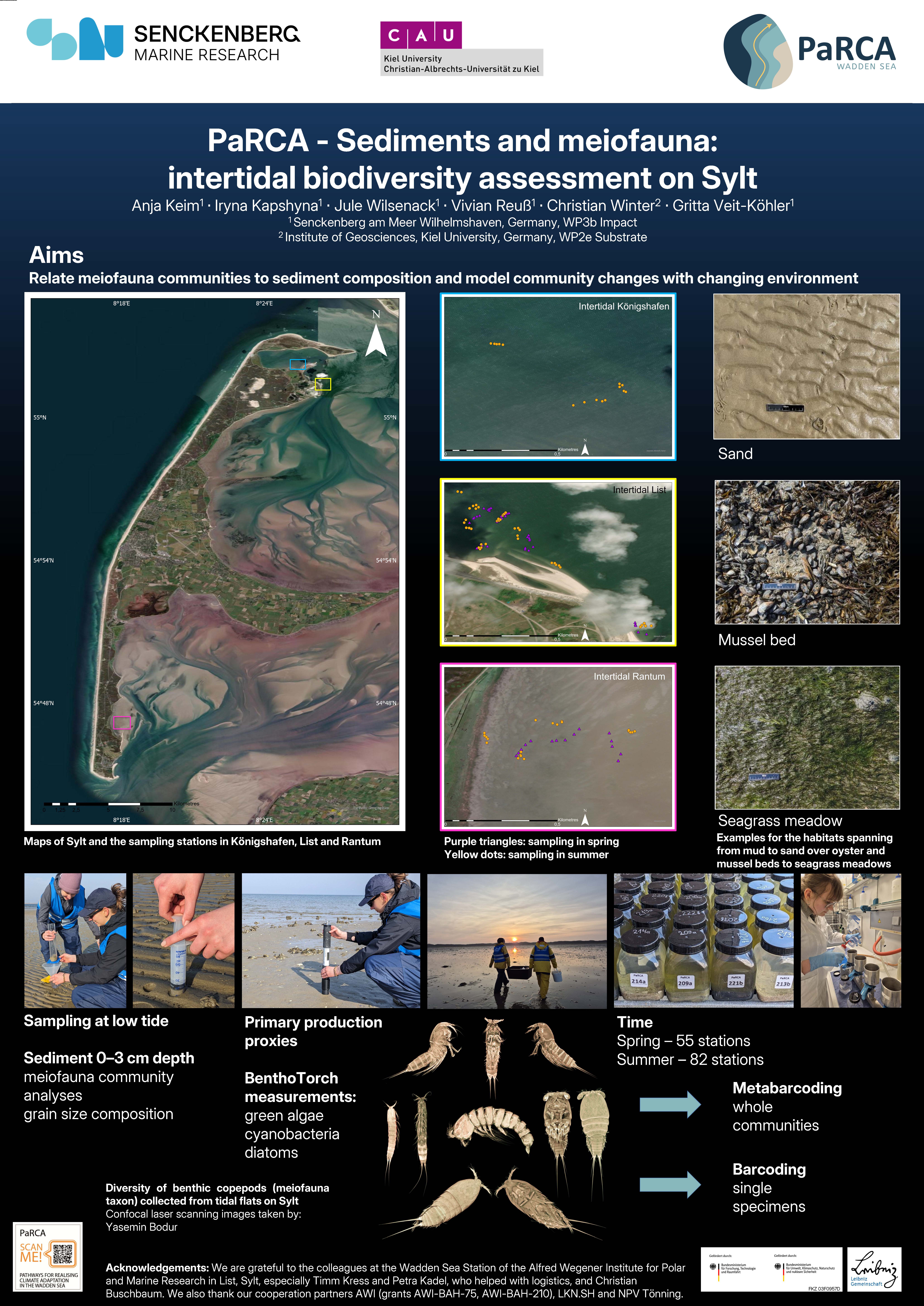 10_Sediments and meiofauna-intertidal biodiversity assessment on Sylt_Keim