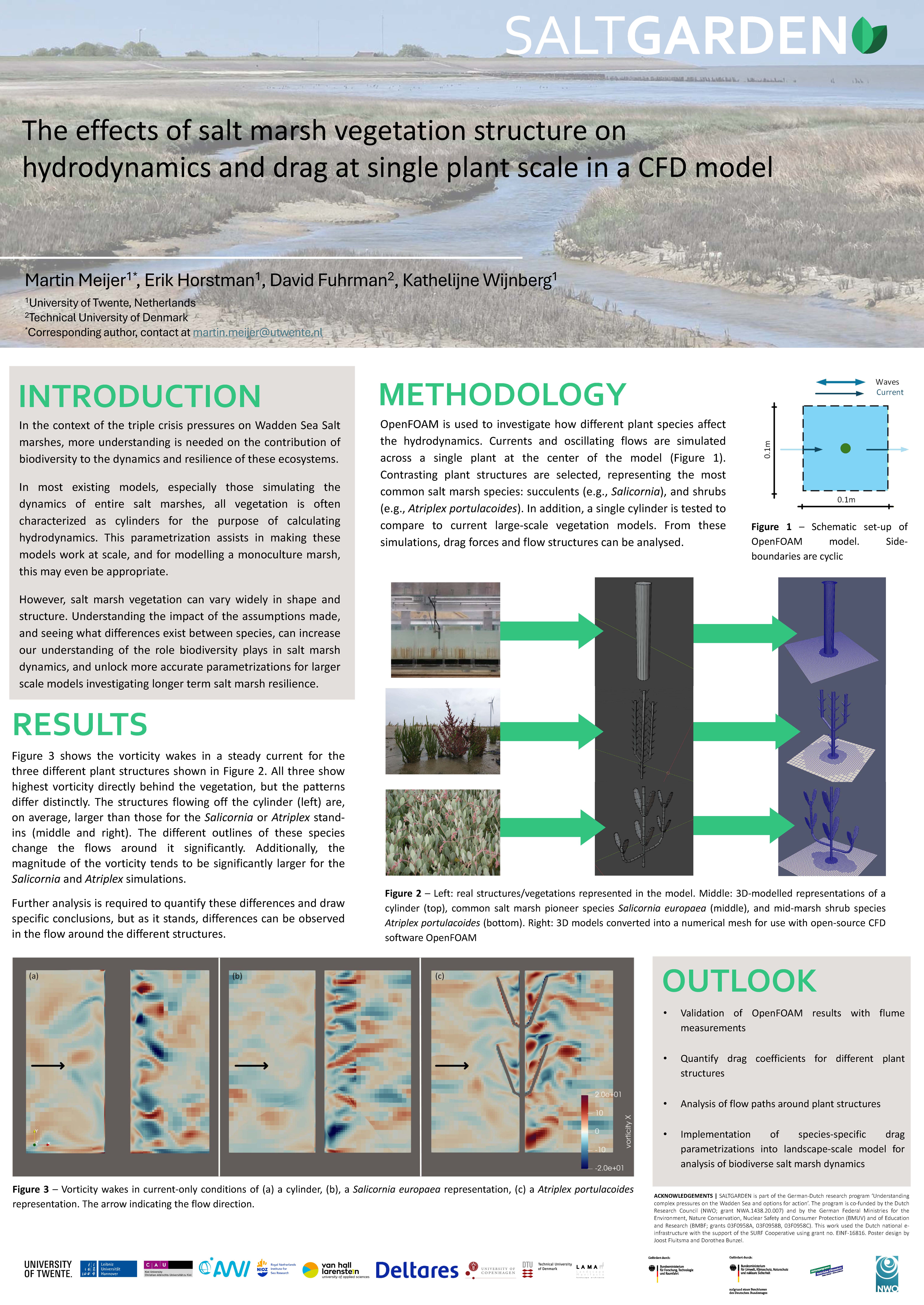 14_Effects of salt marsh vegetation structure on hydrodynamics and drag at single plant scale in a CFD model_Meijer