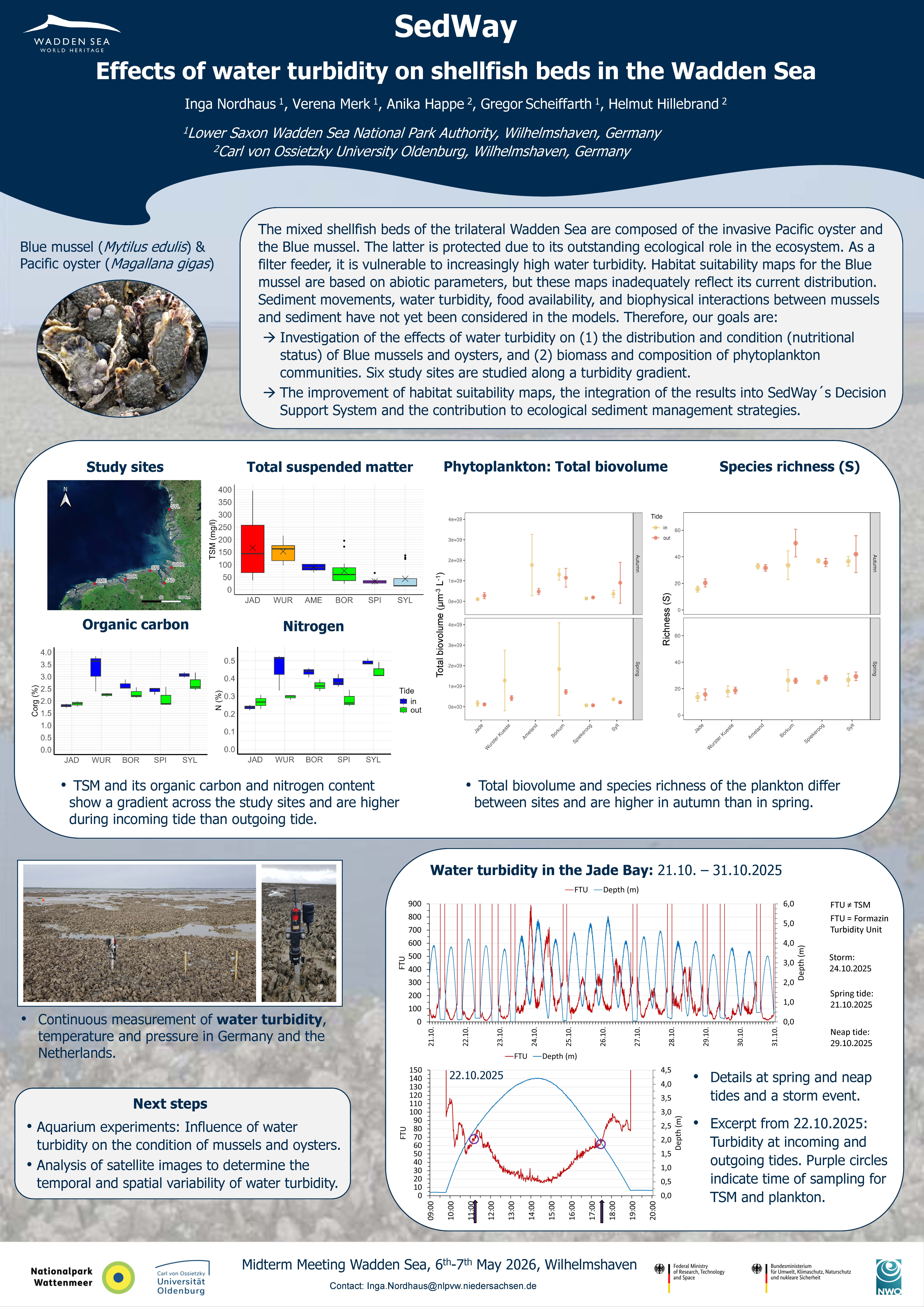 16_Effects of water turbidity on shellfish beds in the Wadden Sea_Nordhaus