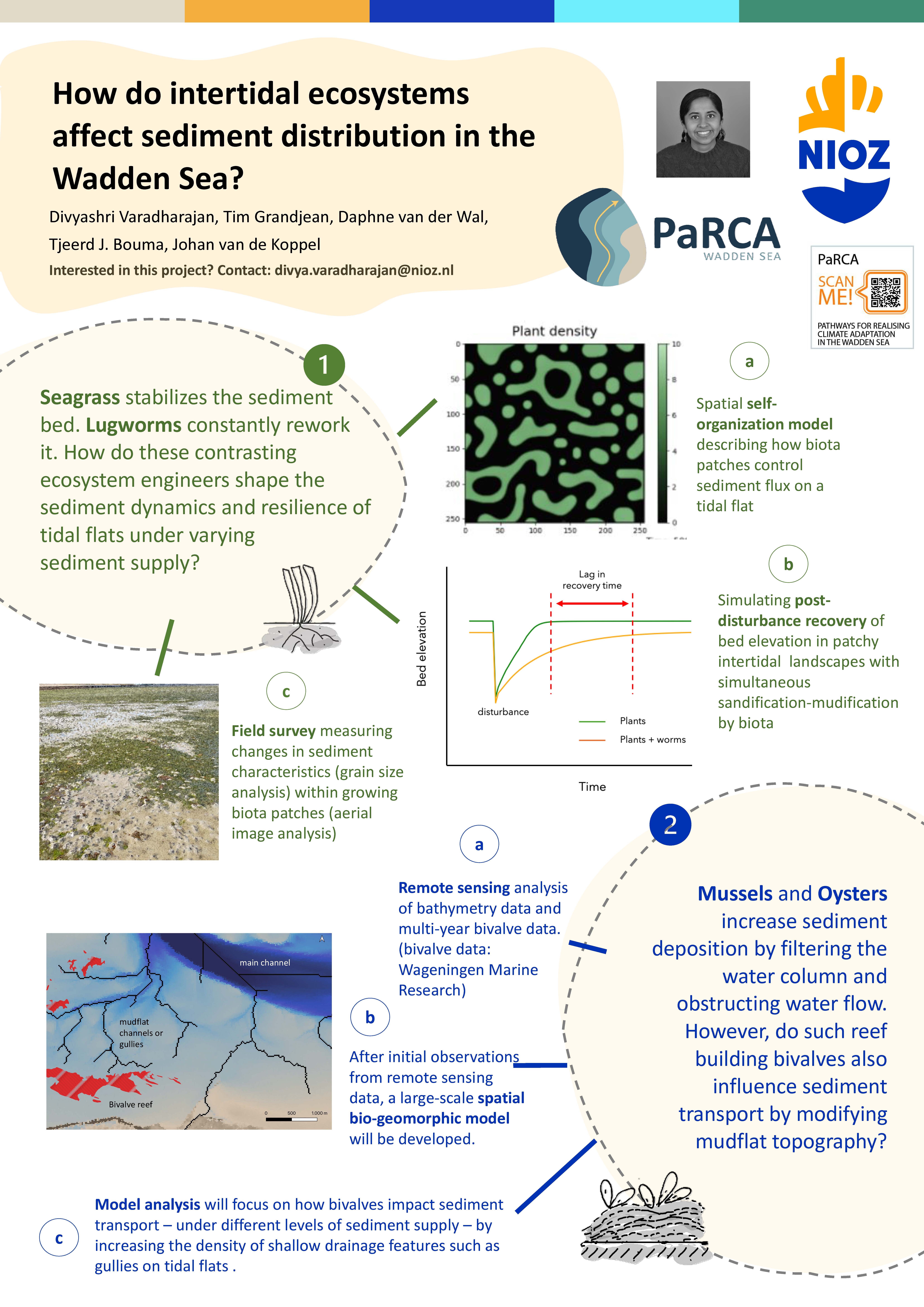 26_How do intertidal ecosystems affect sediments distribution in the Wadden Sea_Varadharajan