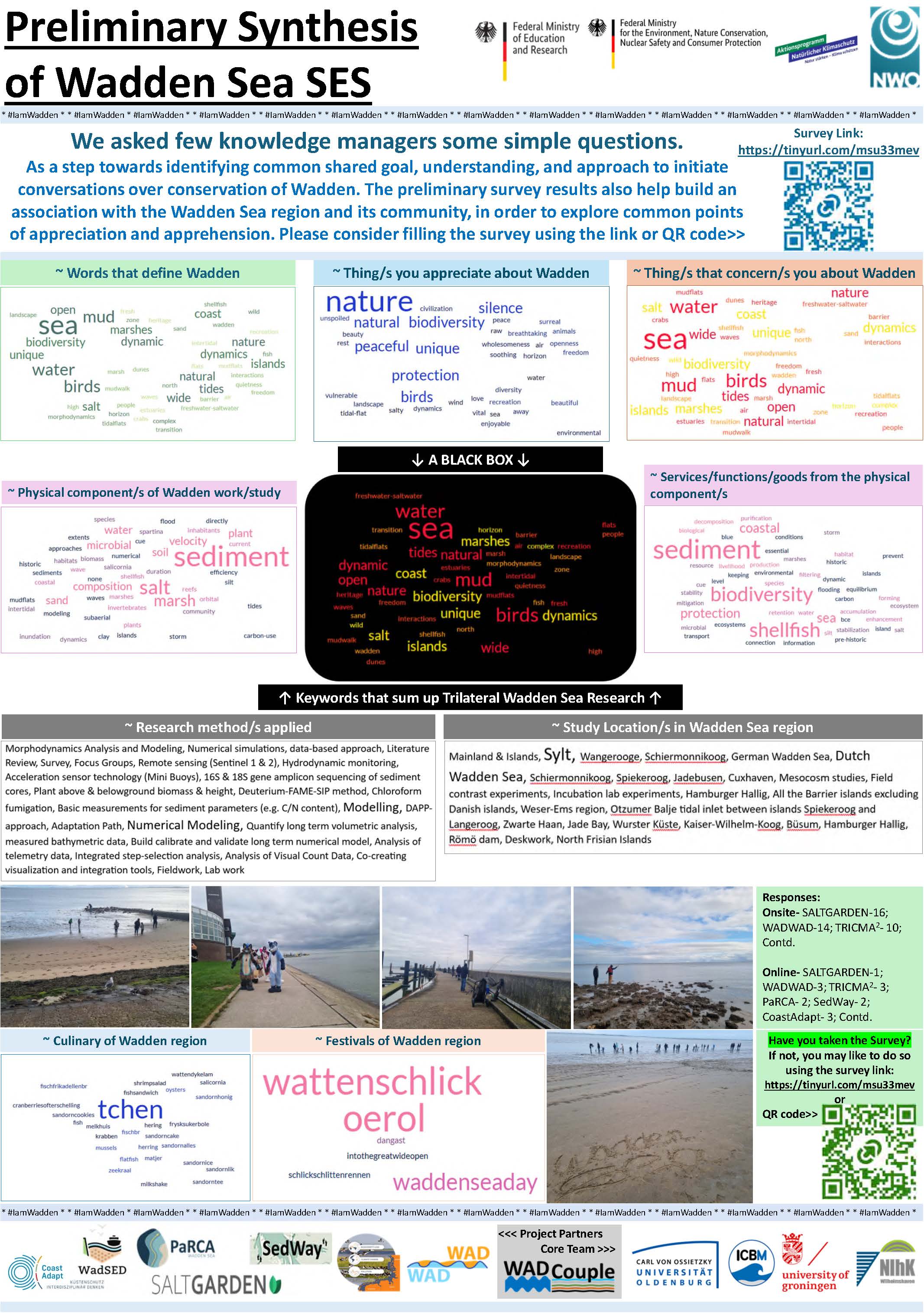 31_Preliminary Synthesis of Wadden SES_Bhargava